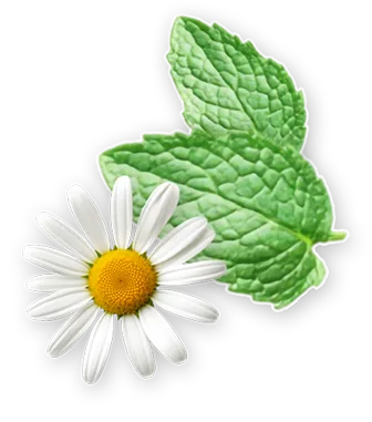 чай